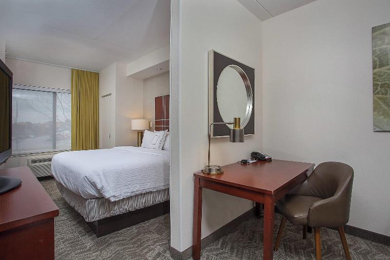 带大床的标准工作室, Springhill Suites Pigeon Forge