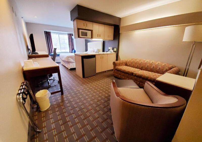 استودیو استاندارد با تخت کینگ, Springhill Suites Pigeon Forge