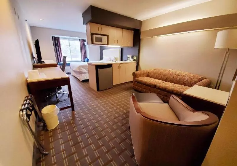 استودیو استاندارد با تخت کینگ, Springhill Suites Pigeon Forge