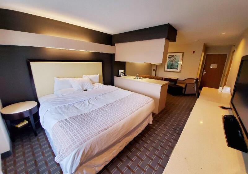 استودیو استاندارد با تخت کینگ, Springhill Suites Pigeon Forge