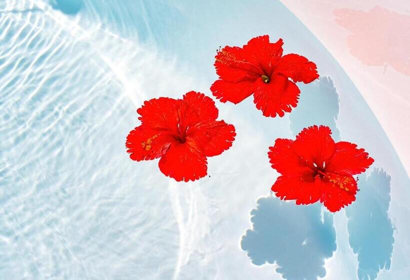 가든 전망 스위트, Blue Ocean Hotel&resort Miyakojima