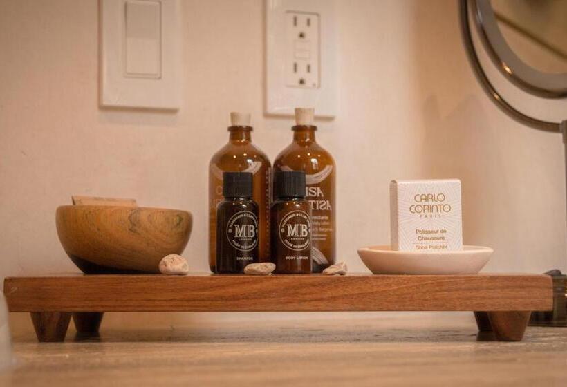 小型套房, Cantera 1910 Hotel Boutique, Destination