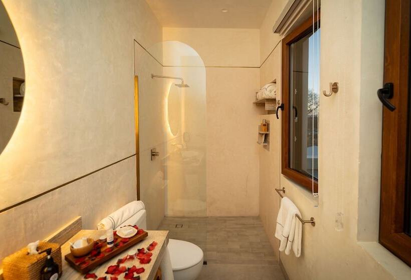 小型套房, Cantera 1910 Hotel Boutique, Destination