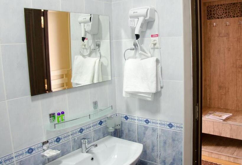 스탠다드 도시전망 룸, Poytaxt