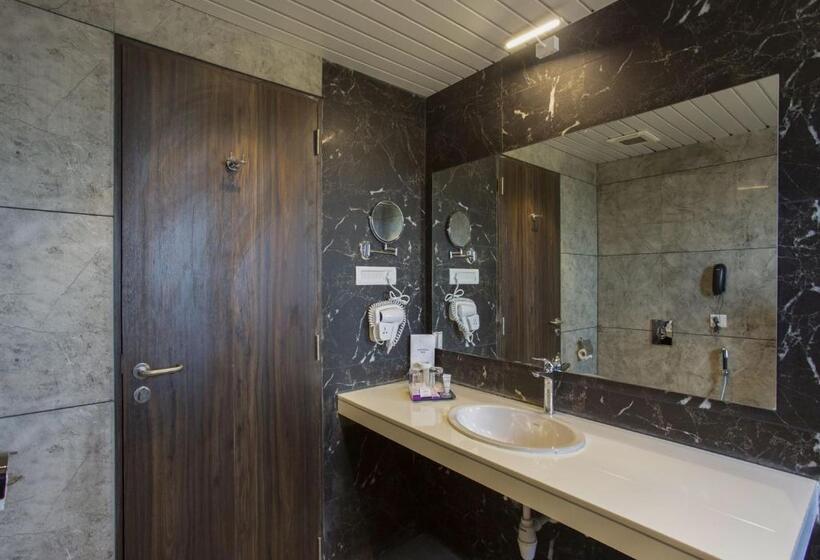 Executive Enkeltværelse, Sarovar Portico Somnath