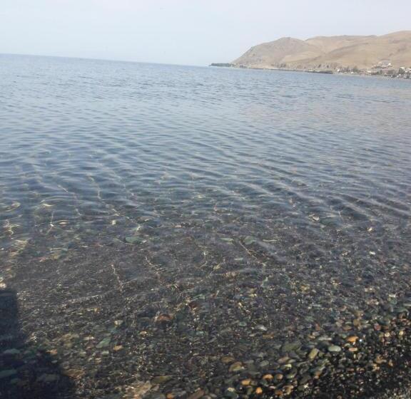 ファミリールーム, Today , Խաղաղության լողափ