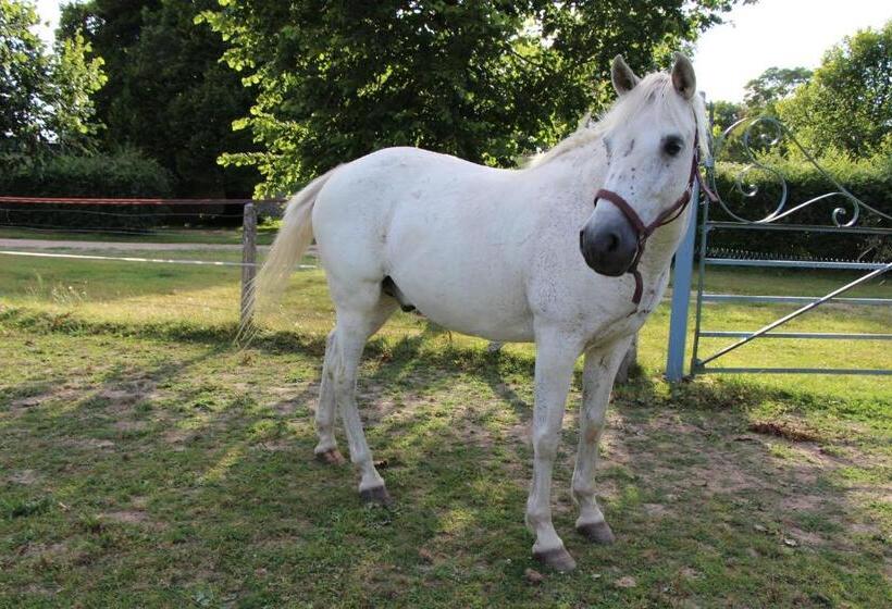 标准间, Rouge Maison