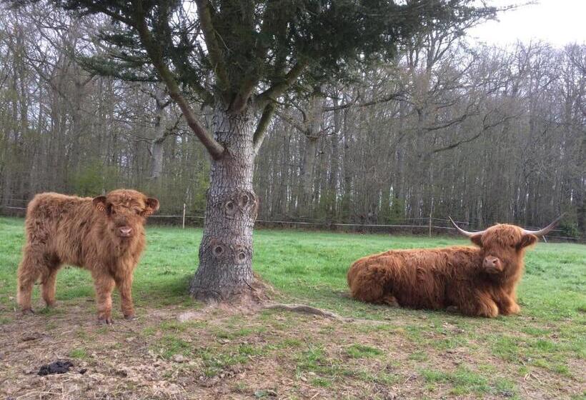 标准间, Rouge Maison