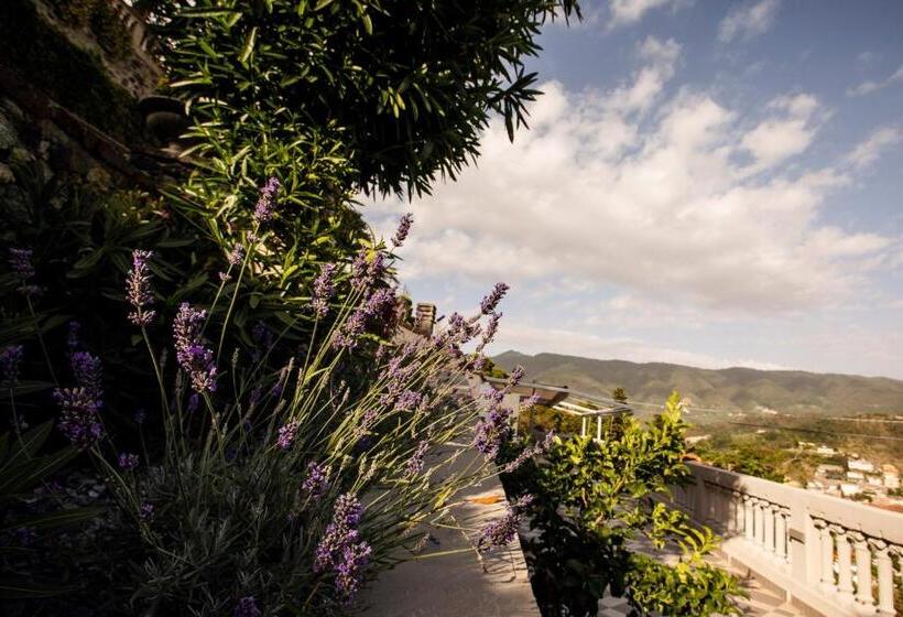 Suite with Terrace, Bellevue Rooms & Suites