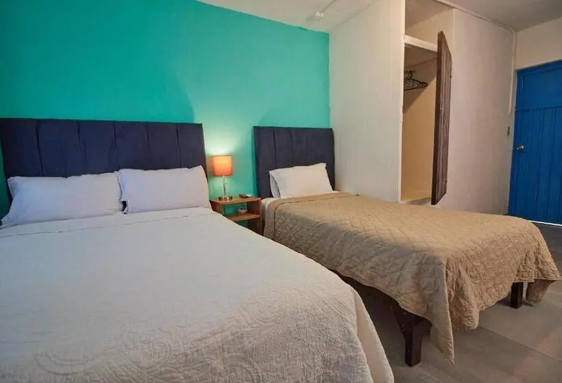 اتاق استاندارد با چشم‌انداز باغ, Casa Ceci Inn