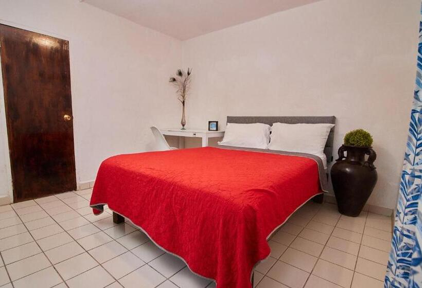 اتاق اکونومی, Casa Ceci Inn