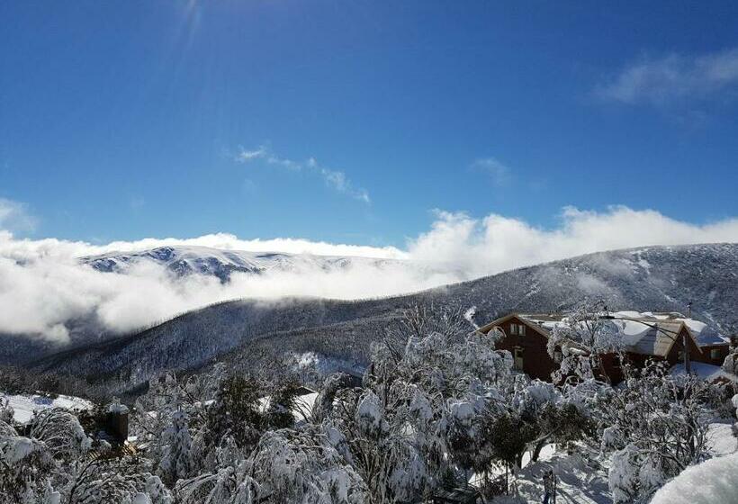 דירת חדר, Cedarwood Apartments