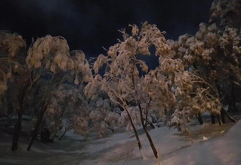 דירת חדר דלוקס, Cedarwood Apartments