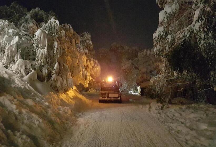 דירת פנטהאוז 1 חדרי שינה, Cedarwood Apartments