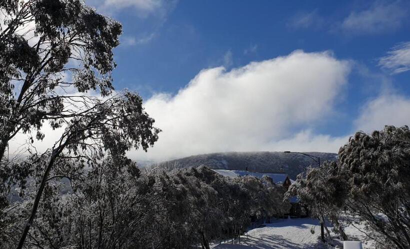 דירת חדר דלוקס, Cedarwood Apartments