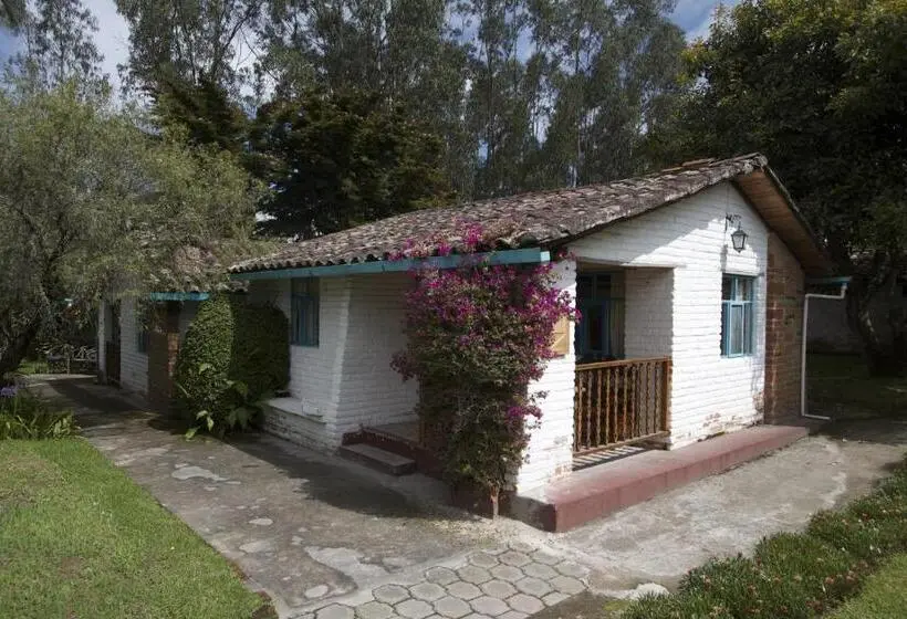 スタンダードシングルルーム, Las Palmeras Inn