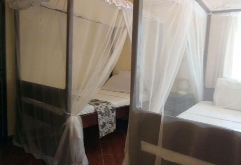 اتاق سوپریور با چشمانداز دریا, Coral Beach Resort