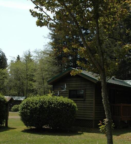 בקתה, Park Motel And Cabins