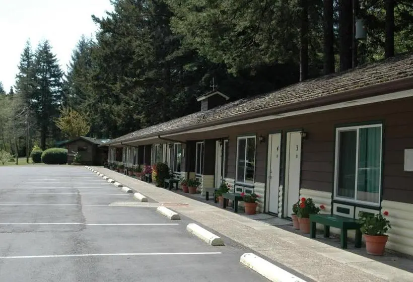 キングサイズベッドのスタンダードルーム, Park Motel And Cabins
