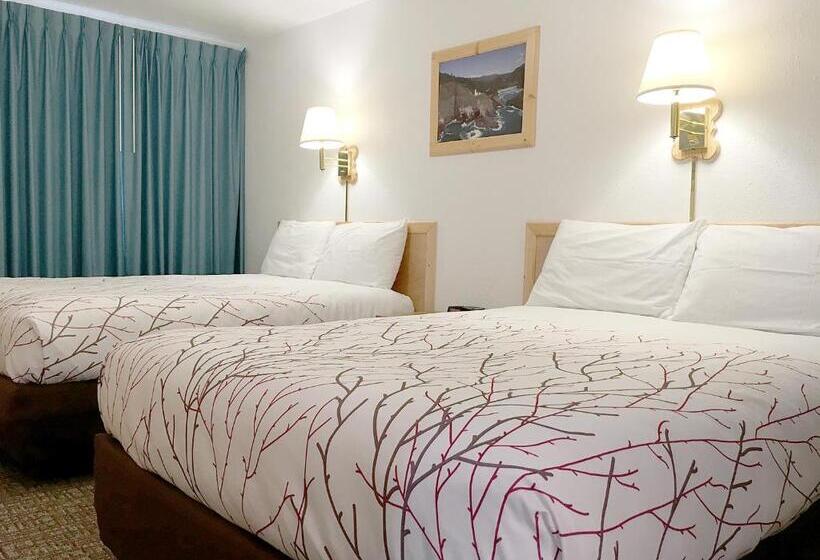 דירת חדר, Park Motel And Cabins