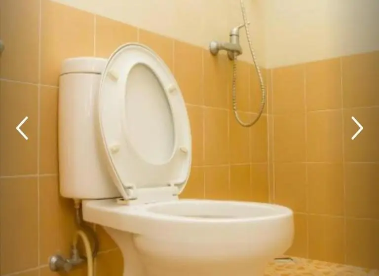 Deluxe-huone, Penginapan Sriwijaya