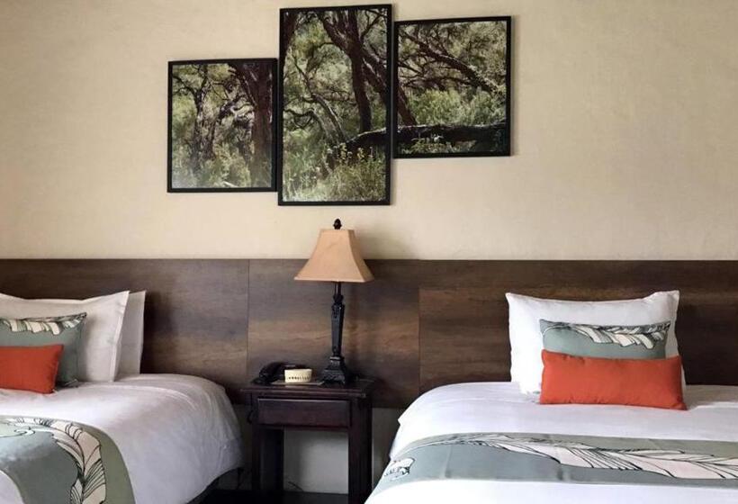 اتاق استاندارد سه نفره, Termas De Papallacta