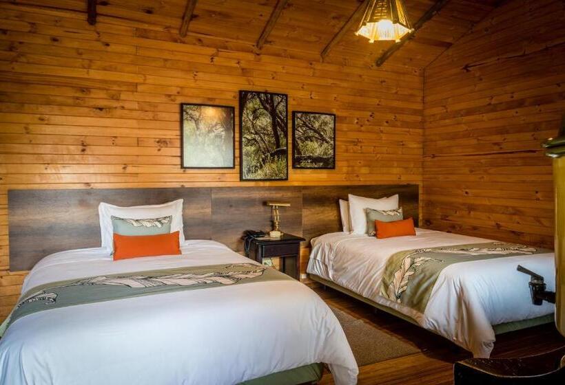 اتاق استاندارد, Termas De Papallacta