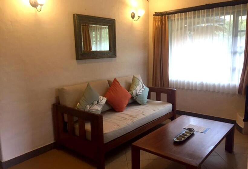 سوییت, Termas De Papallacta