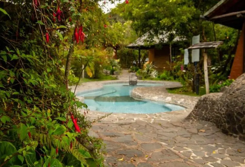 スタンダードバンガロー, Termas De Papallacta