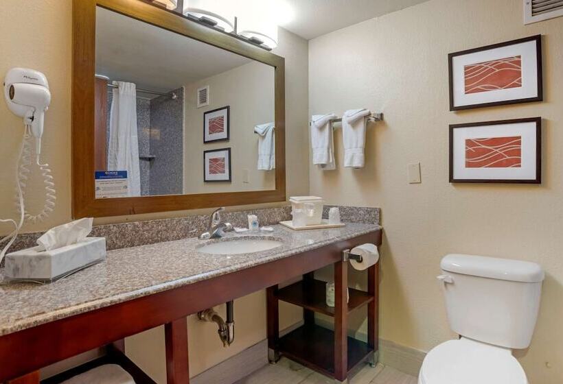 اتاق استاندارد, Comfort Inn University Area