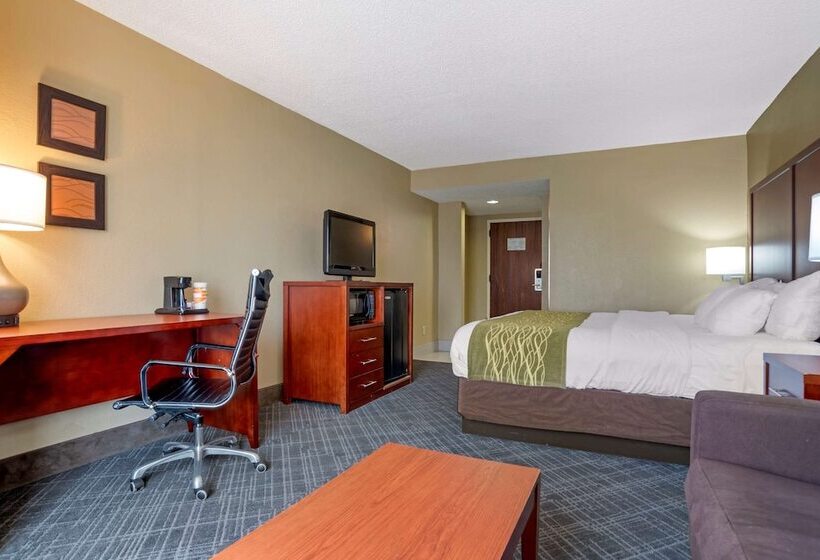 스탠다드 룸, Comfort Inn University Area