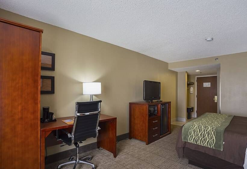 스탠다드 룸, Comfort Inn University Area