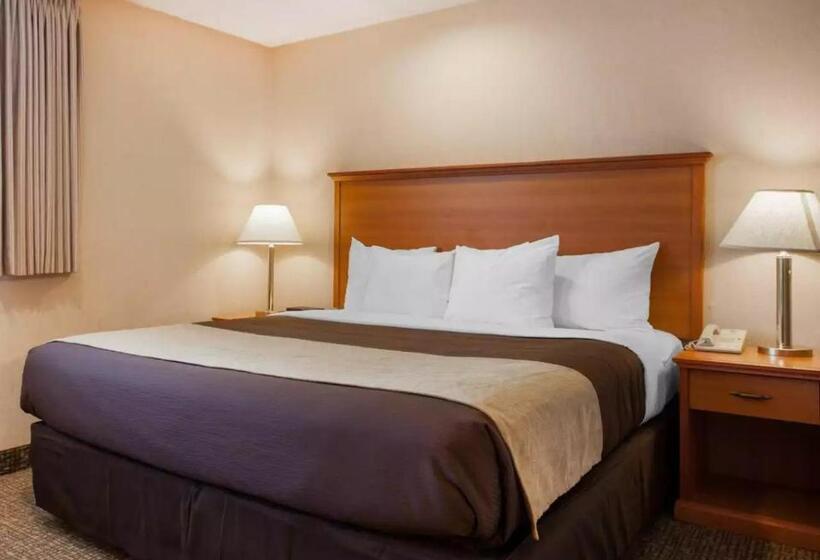 キングサイズベッドのスタンダードルーム, Quality Inn Kirkland