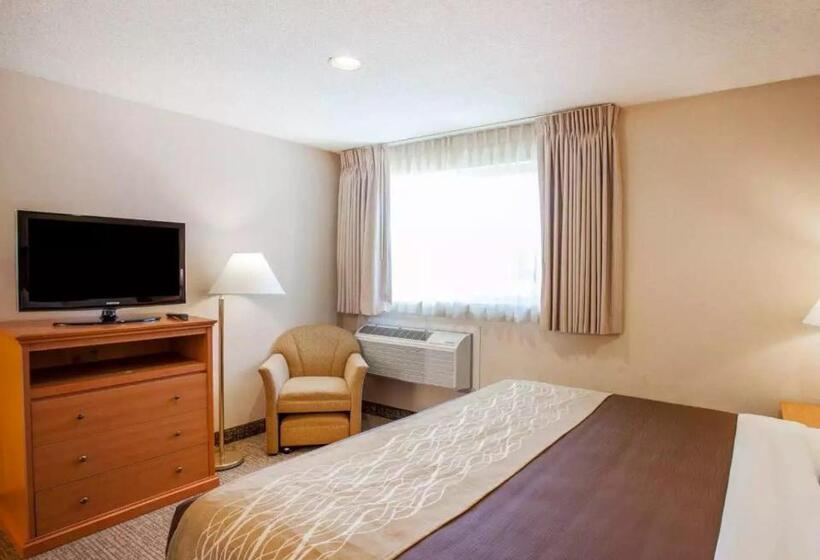 キングサイズベッドのスタンダードルーム, Quality Inn Kirkland