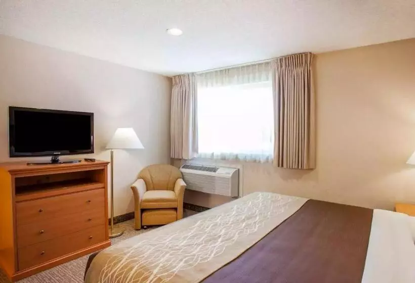 キングサイズベッドのスタンダードルーム, Quality Inn Kirkland