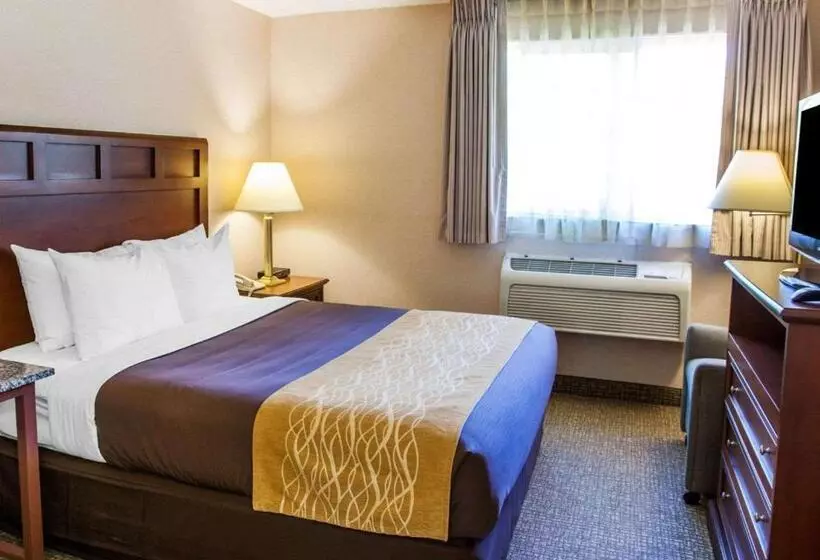 スタンダードルーム, Quality Inn Kirkland