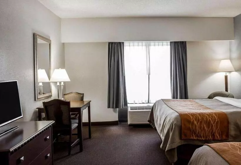 身障者適用スタンダードルーム, Comfort Inn & Suites Lumberton Central I 95