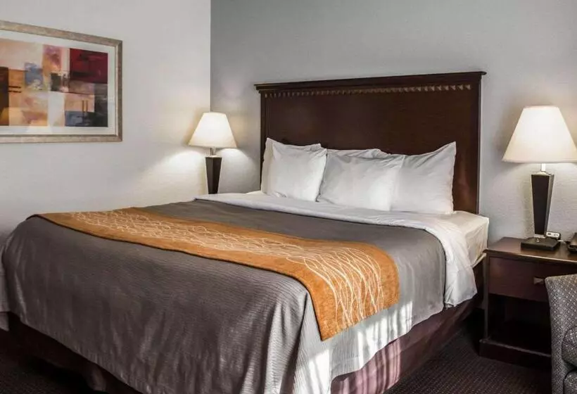 キングサイズベッドのスタンダードルーム, Comfort Inn & Suites Lumberton Central I 95
