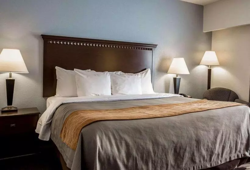 キングサイズベッドのスタンダードルーム, Comfort Inn & Suites Lumberton Central I 95