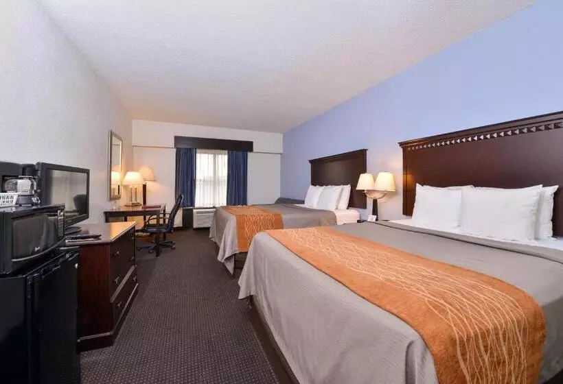 スタンダードルーム, Comfort Inn & Suites Lumberton Central I 95