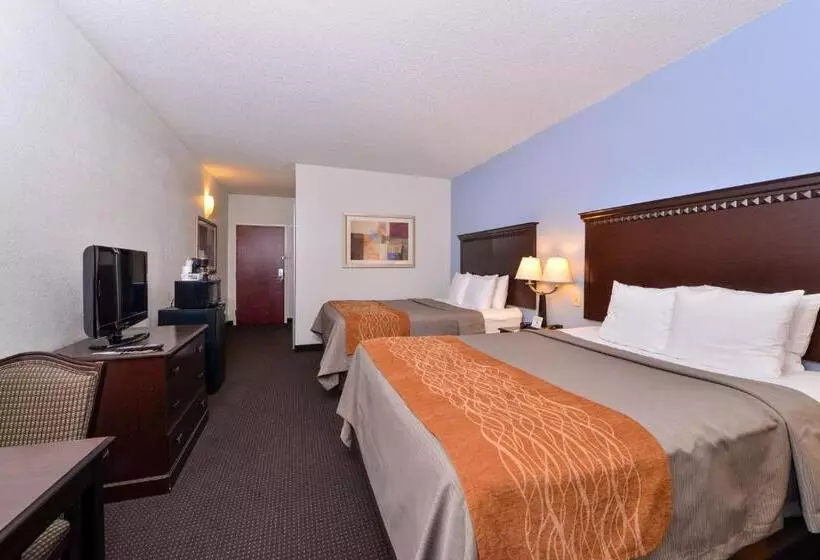スタンダードルーム, Comfort Inn & Suites Lumberton Central I 95
