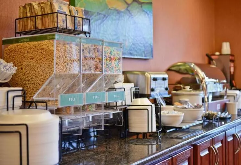 スタンダードルーム, Comfort Inn & Suites Lumberton Central I 95