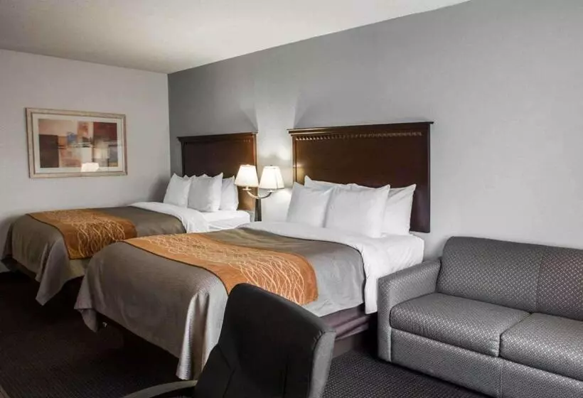 デラックスルーム, Comfort Inn & Suites Lumberton Central I 95