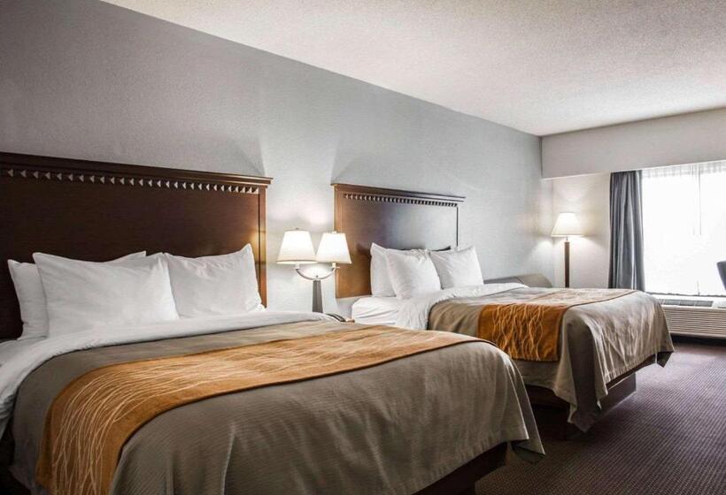 غرفة ديلوكس, Comfort Inn & Suites Lumberton Central I 95