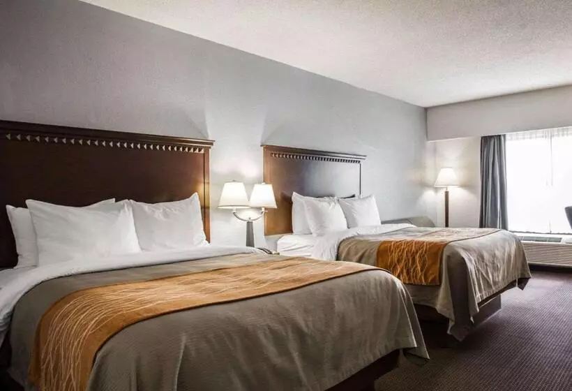 デラックスルーム, Comfort Inn & Suites Lumberton Central I 95