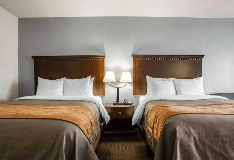 デラックスルーム, Comfort Inn & Suites Lumberton Central I 95