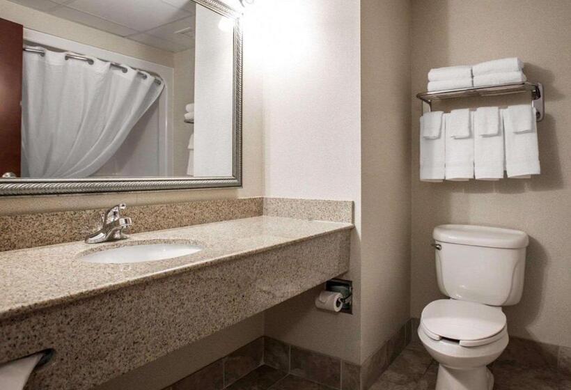 Номер Deluxe, Comfort Inn & Suites Lumberton Central I 95