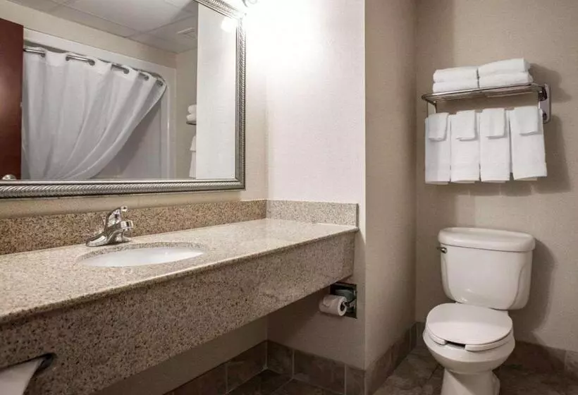 デラックスルーム, Comfort Inn & Suites Lumberton Central I 95
