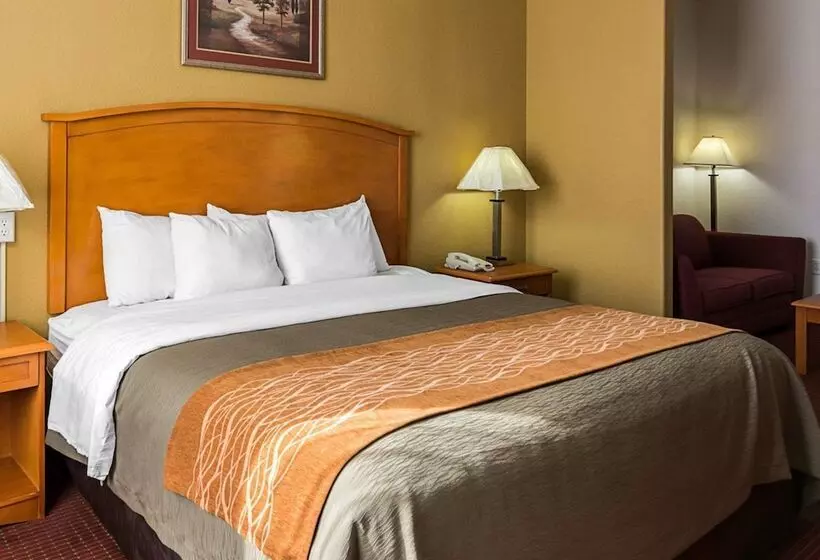スイート, Comfort Inn & Suites Chesapeake  Portsmouth