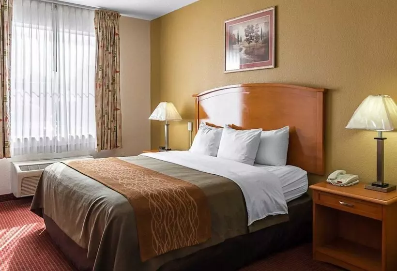 スイート, Comfort Inn & Suites Chesapeake  Portsmouth